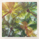 Recherche de noix coco dessous de verres Plage