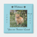 Recherche de perte de mémoire magnets Mémorial des animaux