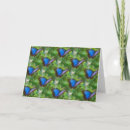 Zoek naar blauwe vlinder kaarten Natuur