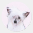 Recherche de chien chinois pour chien autocollants Chiot