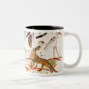 Recherche de marais tasses Canards