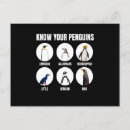 Recherche de pingouin arctique cartes postales Froid