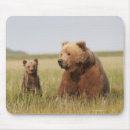Recherche de ours gris tapis souris Grand