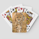Recherche de mise jeux de cartes Animal