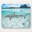 Recherche de requin tapis souris Poisson