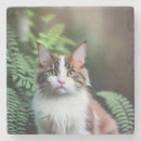 Recherche de ragdolls dessous de verres Poupée