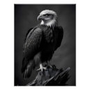 Recherche de écran posters Faune