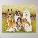 Zoek naar pekinees posters Hond