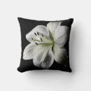 Zoek naar zuivering kussens Zwart