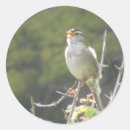 Recherche de oiseau chanteur autocollants Oiseaux