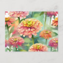 Recherche de zinnia cartes postales Motif
