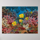 Recherche de paysage sous marin posters Poissons