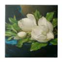 Recherche de fleur de magnolia carreaux Magnolias