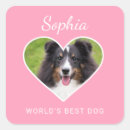 Recherche de chien rose photographie Amour