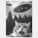 Zoek naar grappige katten magneten Kattenliefhebber