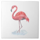 Recherche de flamant rose carreaux Aquarelle