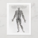 Recherche de andreas vesalius posters Système