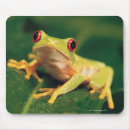 Recherche de arbres feuille tapis souris Faune