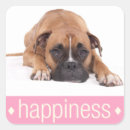 Recherche de boxer autocollants Chiots