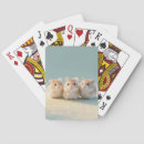 Recherche de rat jeux de cartes Année du rat
