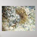 Recherche de squelettes animaux posters Toute personne