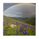 Recherche de jacinthes maison deco Paysage