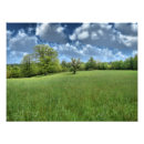 Recherche de hdr art Rural