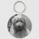 Zoek naar goldendoodle sleutelhangers Puppy