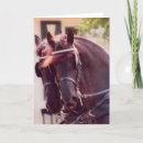 Zoek naar fries kaarten Friese paarden