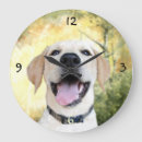 Recherche de laboratoire jaune horloges Chien d'arrêt