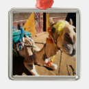 Recherche de amical ornements Animal