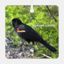Recherche de oiseau rouge ornements Oiseaux