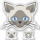 Zoek naar katten gezicht stickers Kitten