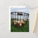 Zoek naar witte veren briefkaarten Bruin