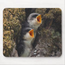Recherche de hirondelle tapis souris Oiseau