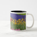 Recherche de jardin tulipe tasses Aménagement paysager