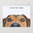 Recherche de visage de chien cartes postales Mignon
