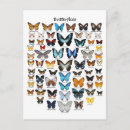 Recherche de graphique papillon cartes postales Insecte