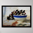 Recherche de mûre blackberry art Photographie