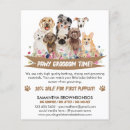 Recherche de toilettes prospectus Toilettage de chien