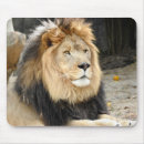 Recherche de africain tapis souris Animal