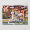 Recherche de japon cartes postales Fleurs de cerisier