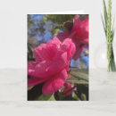 Recherche de de pétale vœux cartes Fleurs