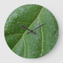 Recherche de goutte de pluie horloges Fleurs