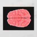 Recherche de cerveau cartes postales médecine