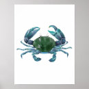 Zoek naar schaaldieren posters Ocean