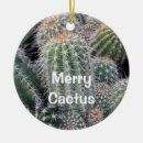 Recherche de cactus ornements Vert