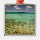 Recherche de island ornements Ciel