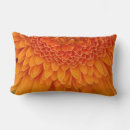 Recherche de horticulture coussins Plante
