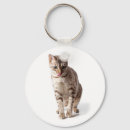 Zoek naar bengalen sleutelhangers Kitten